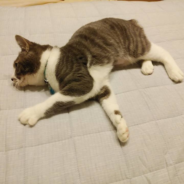 158ddfa2 f030 43a8 8c1f 66aa226c811c 1585838302833