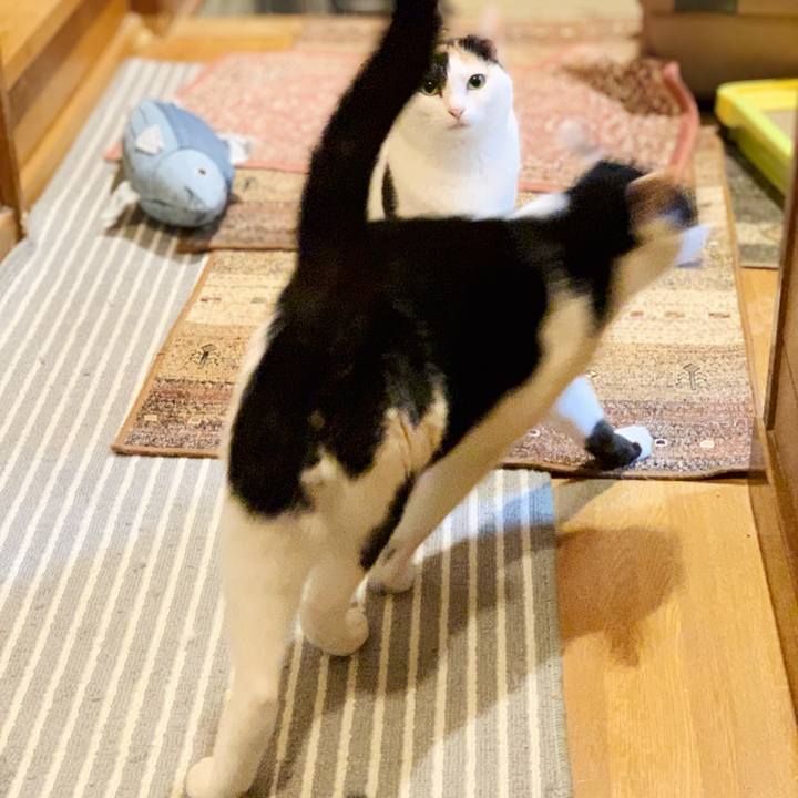 158e3ea5 5d0b 4dfa 9dc8 0e33fe0137b5 1543457473411