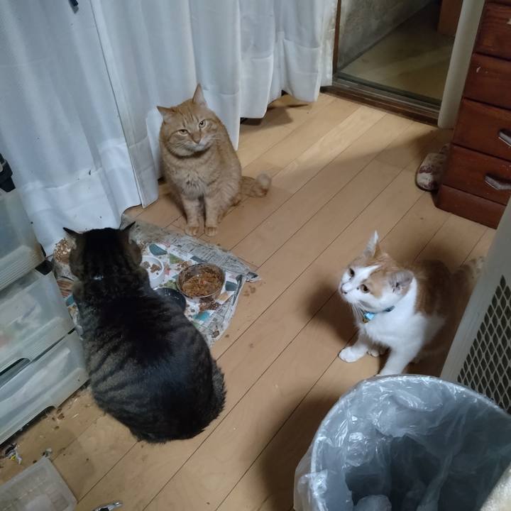 158e5244 1c26 4944 8790 a4eb903ca262 1738746122942