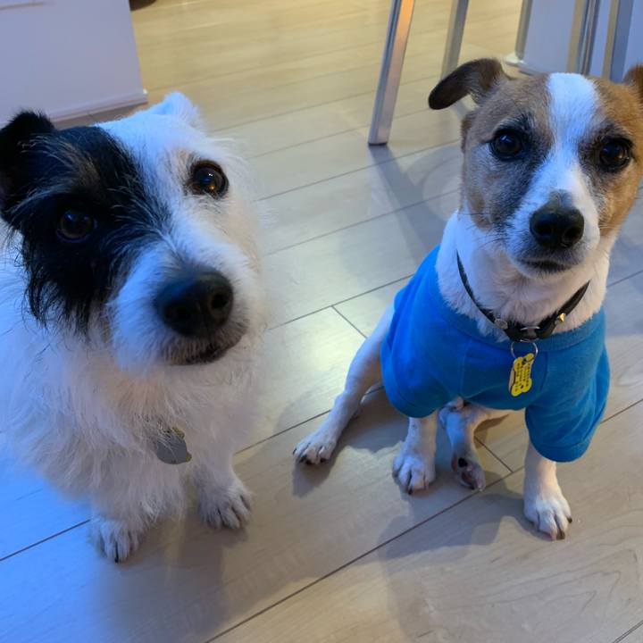 158e6c5b c041 45b3 9a0d 9c50bf620c02 1559814721755