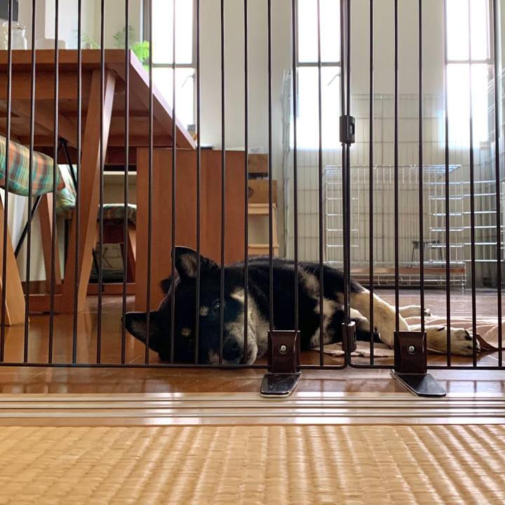 158ee454 b645 4b3c a3d6 494396ad4fe7 1593164338604