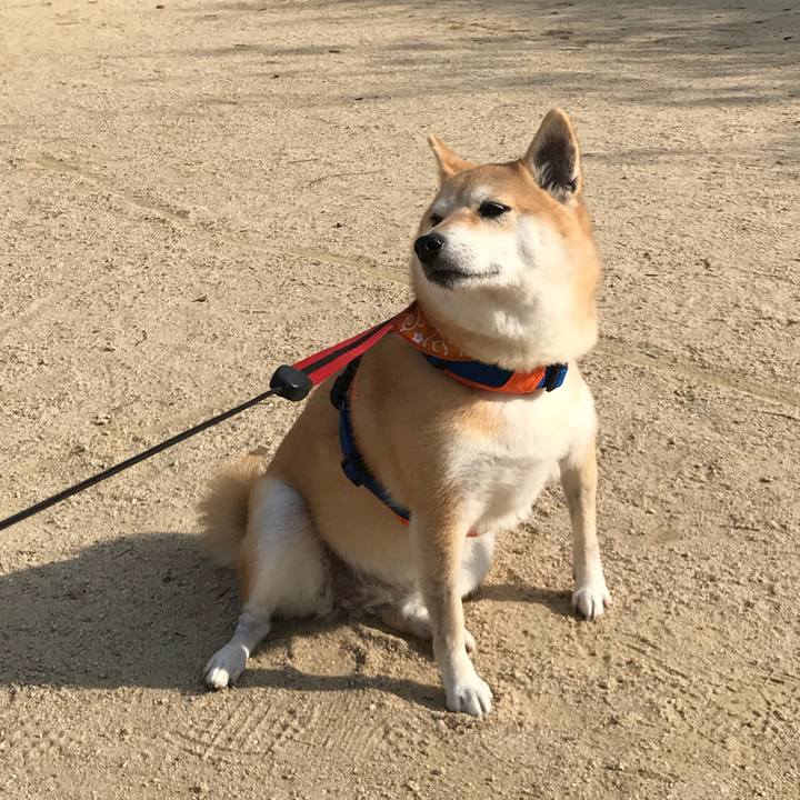 158eed6a cd04 44a5 831c dded65feaba8 1510142054273