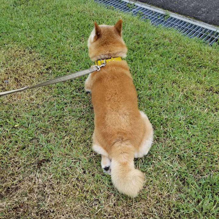 158f3dca 8e69 42d3 be5d 6f5413529f0e 1689312020837