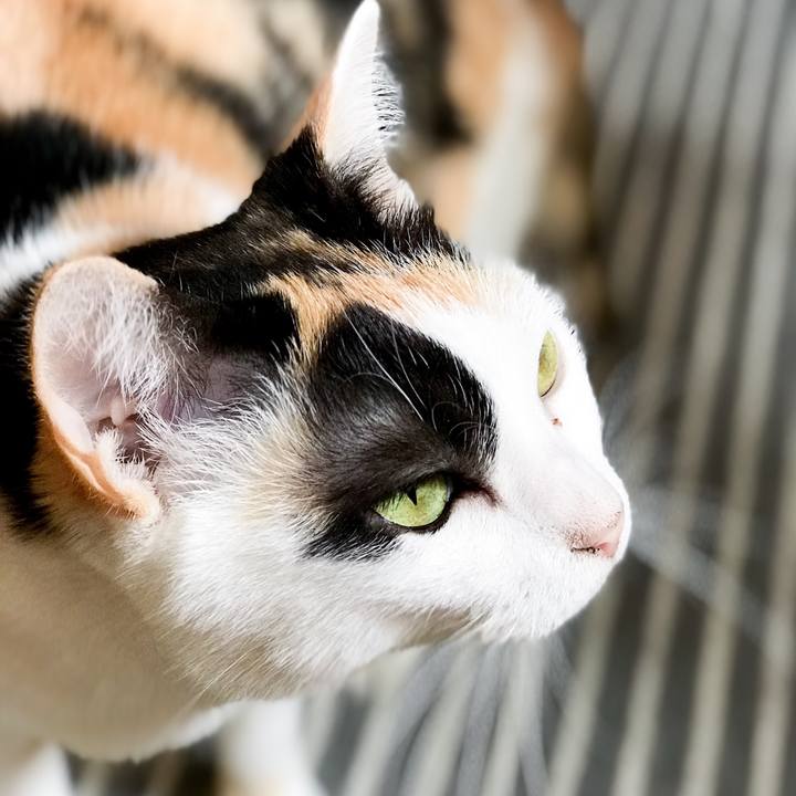 158fbaab dc25 4a06 b0d5 7862580207f9 1534559466817