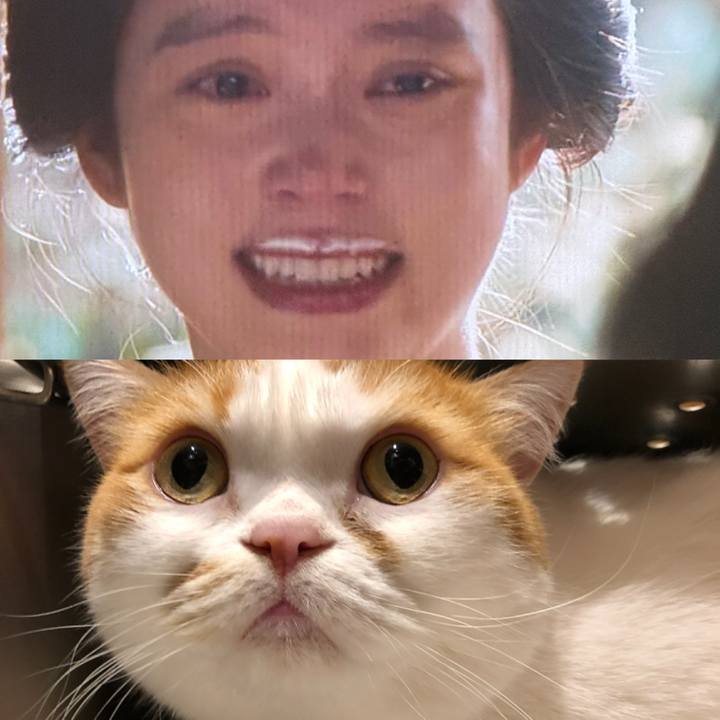 158fc5c7 c550 4c47 83c9 98f4fb9e908c 1761362443465