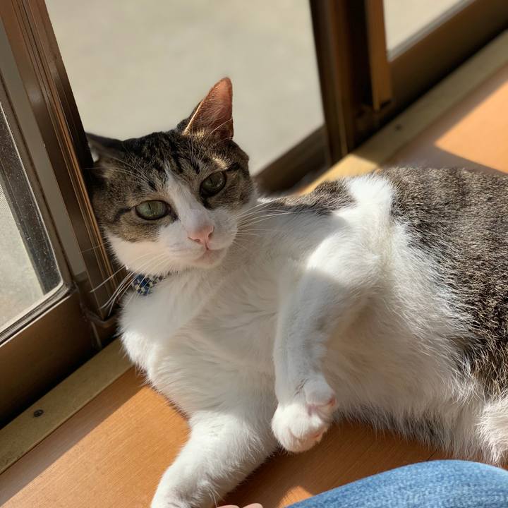 15902ace 7fc8 4a26 abb5 a9bea31becb7 1570239463454