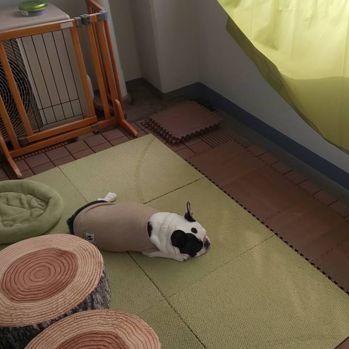 15905a09 3b45 4d79 adba ec1bd14c982b 1630113325195