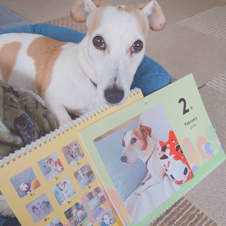 1590bedd e5c2 4aff a45b 6f7449129323 1766273669036