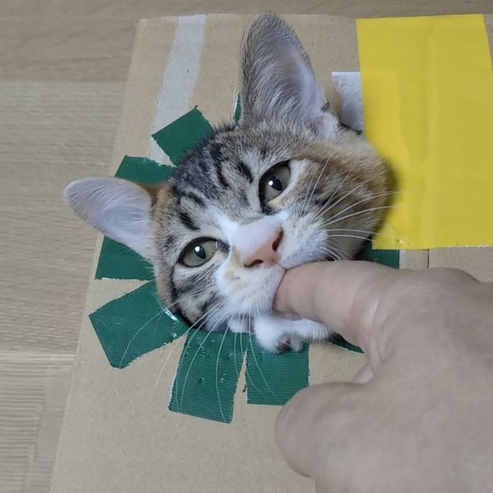 15910487 9cc0 4b14 825b b95b88b0ee20 1628820837337