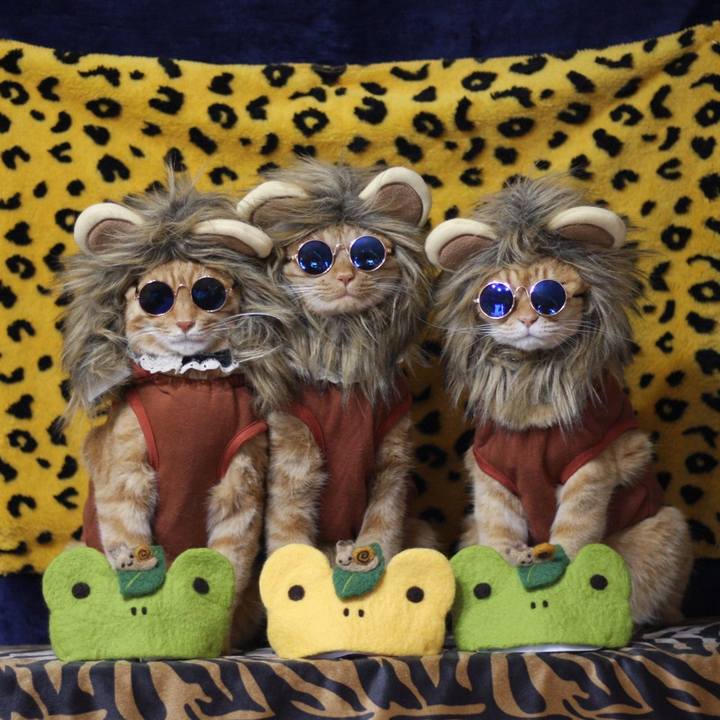 15911ae3 bcaa 40e7 a841 a6620179118f 1622602649574