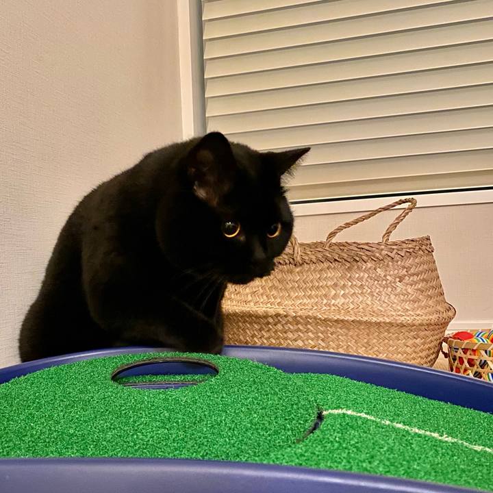 159162ba 96d9 4979 a53e 2d0148ee1eb6 1637569105579