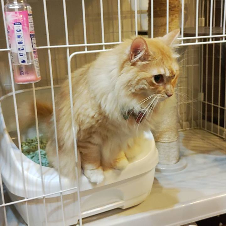 15917e68 8114 4b25 9af5 36aafd45f245 1658068149249