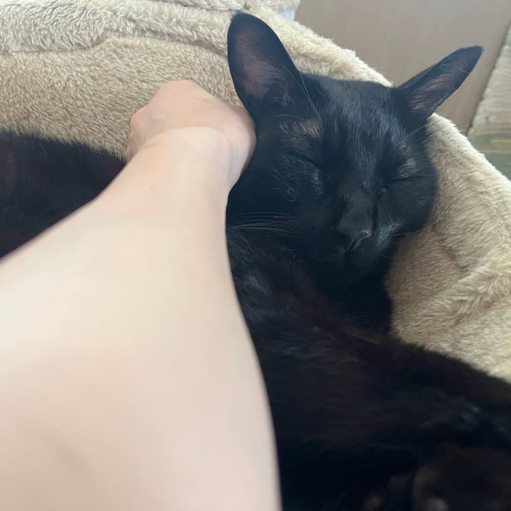 1591a3b7 ed18 4cfd a02c 152fb2e590a7 1726906973765