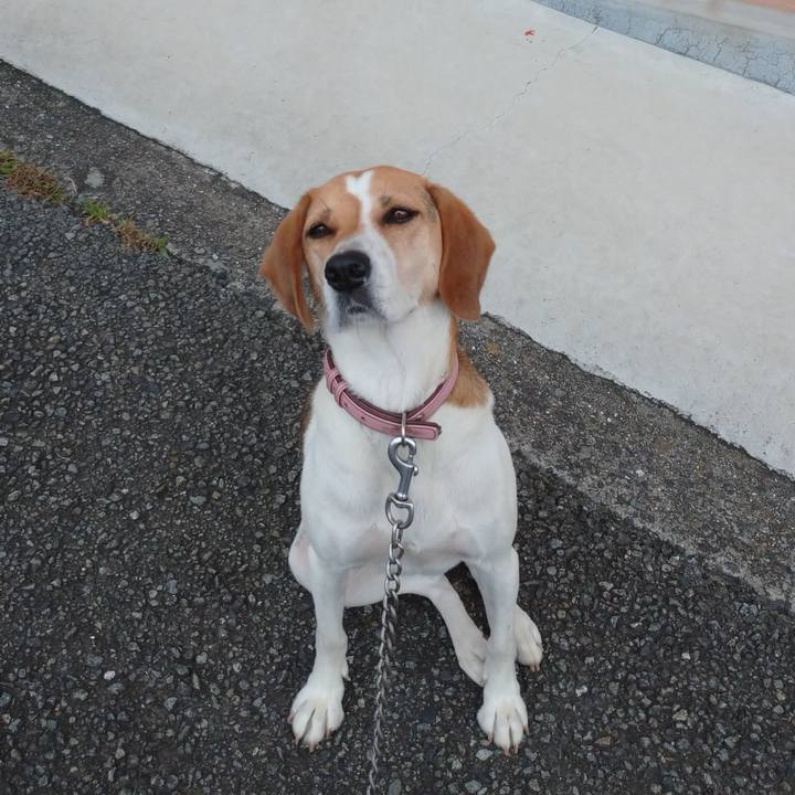 1591c799 be77 40b9 9cae 574de87dc299 1594780842960