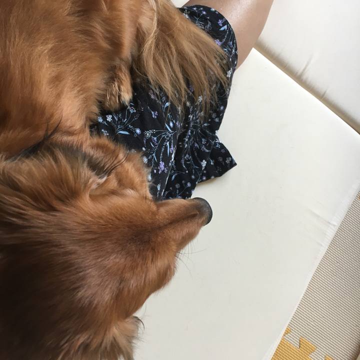 1591fb8a 9317 48f4 8543 ddbf2e476618 1531743274910