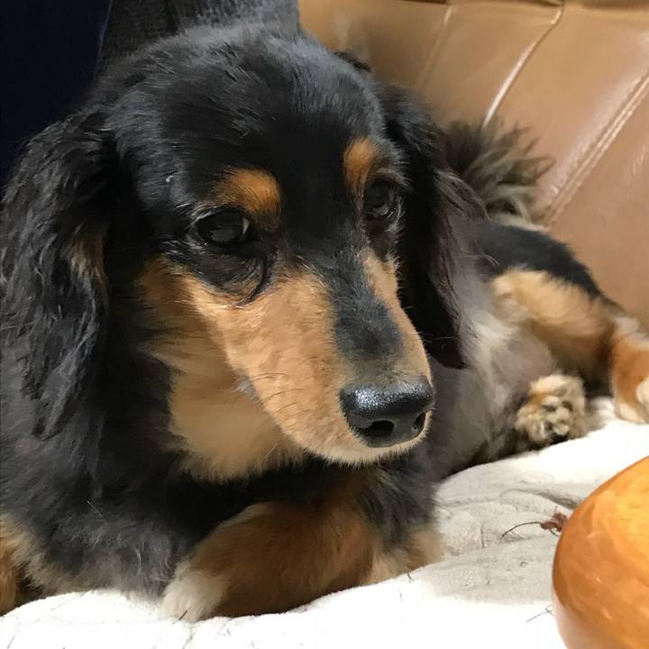 1592144b 367d 4420 9bac acbf58ee927c 1528148218076