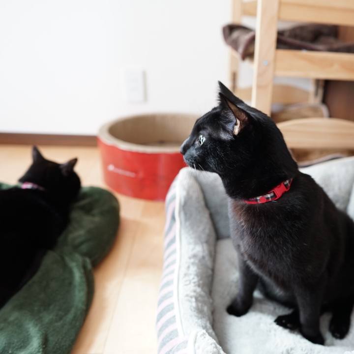 15923de7 4f80 4e75 97f9 c3015702767e 1543880166182