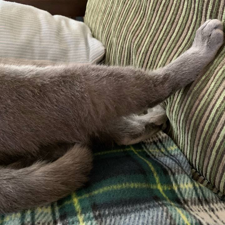 159242ff 8883 43e0 ad72 5a180a9a713a 1587247767881