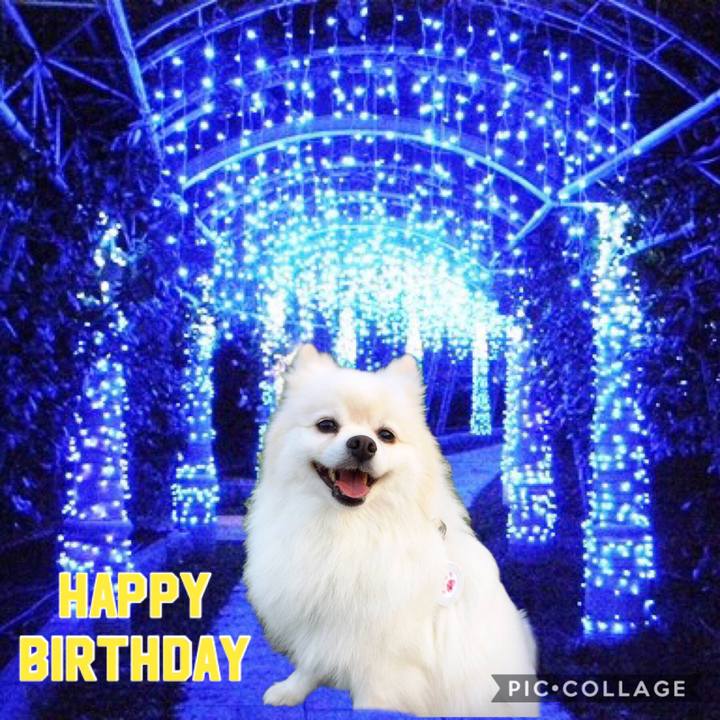 15924c44 222a 47de b6f7 87e461f4f79b 1544800543676