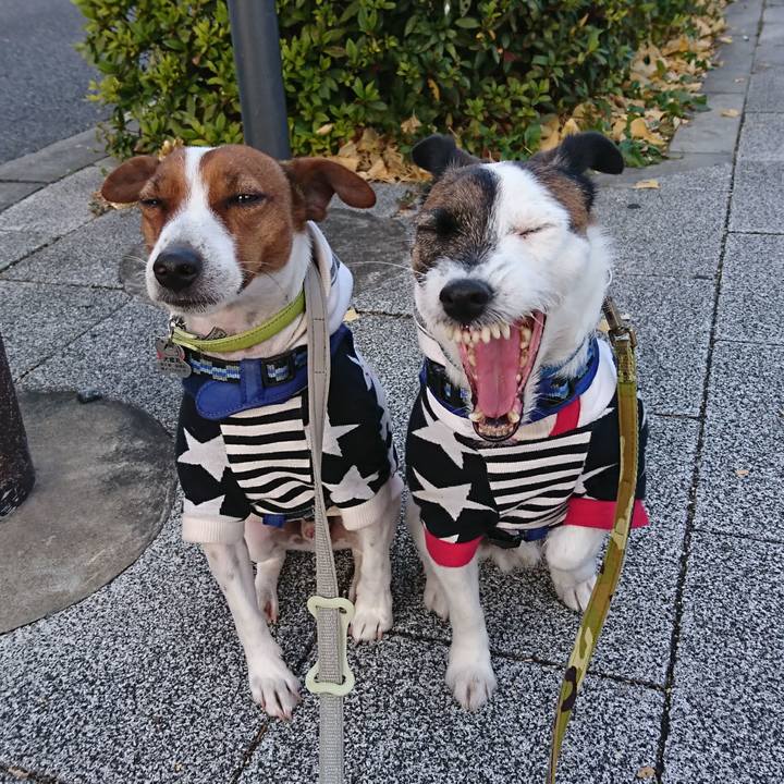 15926516 d253 4ff3 abcd fc1462220281 1609719009276