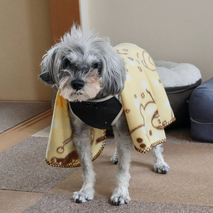 1592721f bc53 49f6 ac03 1a25ef5906e0 1761176088654