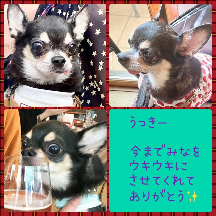 15927db2 1923 44b7 91fa cd25f05eb4c2 1713507258206