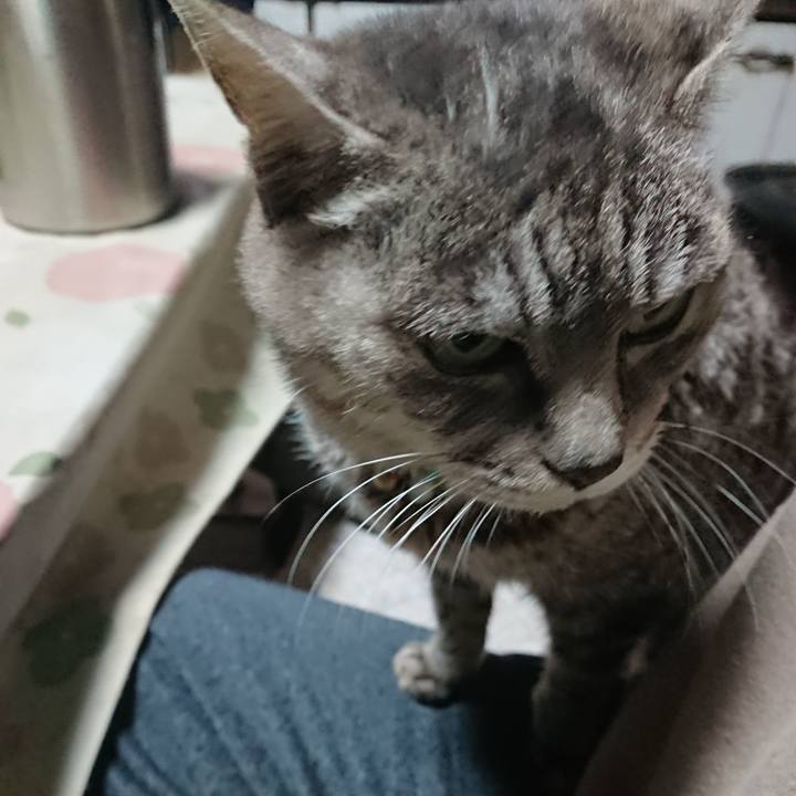 15928a0c 9e2d 4cd4 8b88 a94ca19cb884 1575151933847