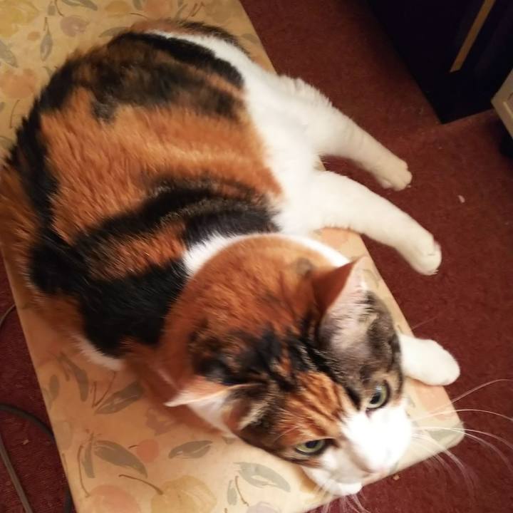 15928aec 4a3d 4a61 98b3 e3fcc2efb370 1564523406667