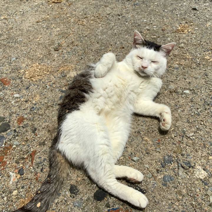 15931672 087b 4bca 89d4 70f422c0356d 1624784651632