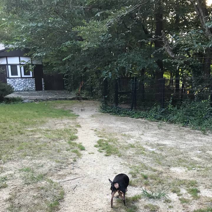 15931747 8f2e 4604 b253 ef3539d308d8 1537188998916