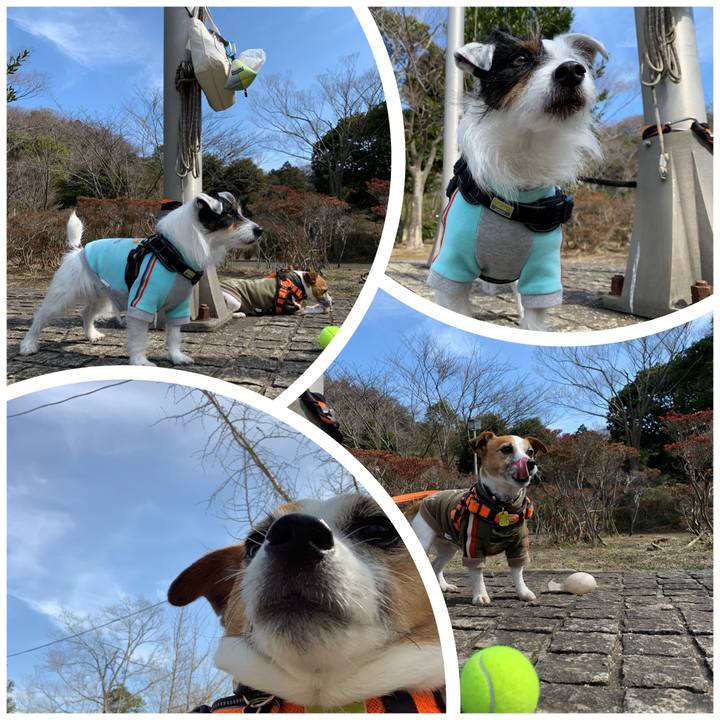 15931c1b c706 422f ba5e 292b087b64fb 1583034579305