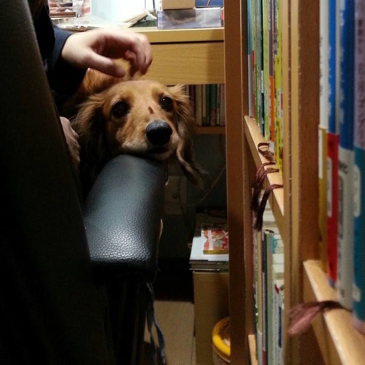 1593208a 19c2 4a30 8510 3d93c30626d6 1526388527802