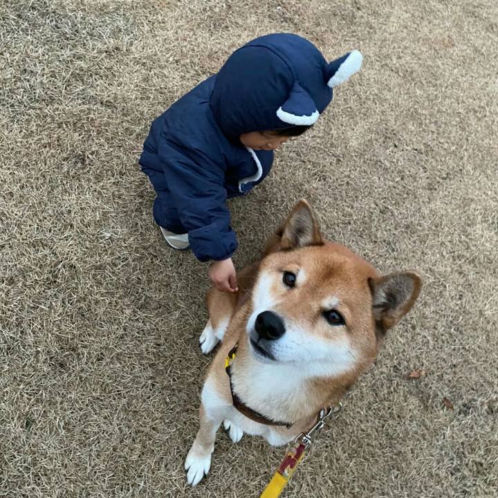 15932809 9b3c 4279 946a 0739d2f3e614 1577368582677