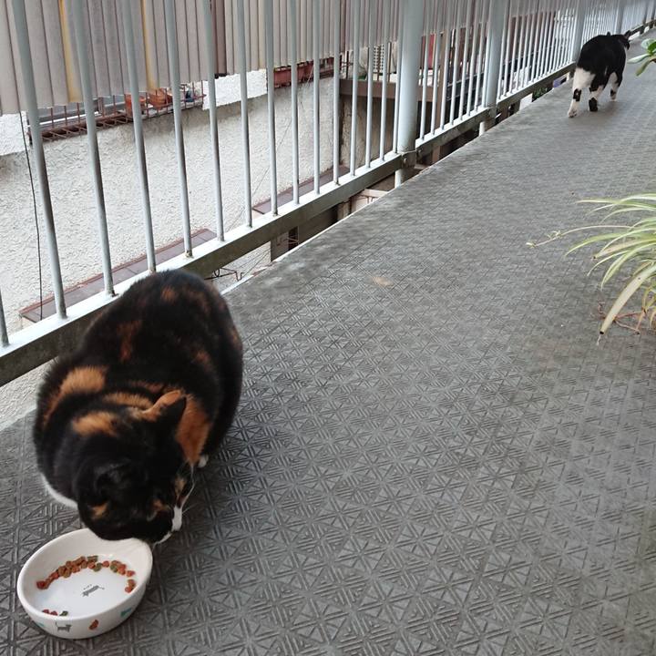 1593bf7b 9ca5 4e13 a689 95874ef14d20 1667632007704