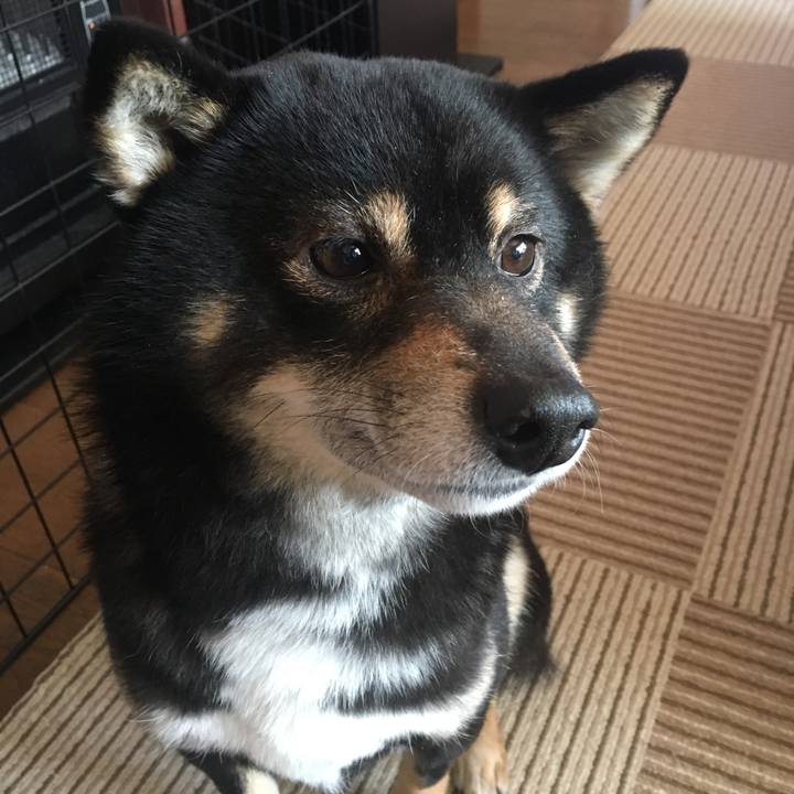 1593dd89 429f 44c1 84b5 53e0e88be023 1517533833607