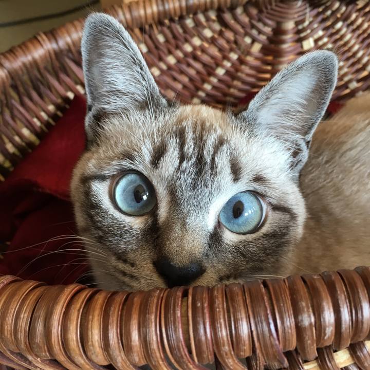 1593ee28 af1f 4785 9598 e7183c05dc82 1551142406687