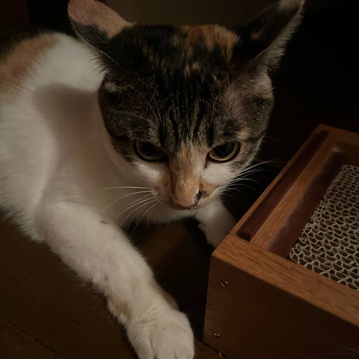 1594545a ab7e 4154 b0fe a029d12fdd16 1757945543609