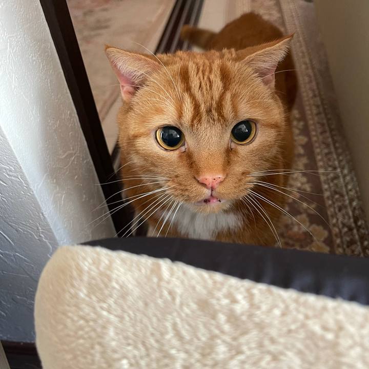 15946ade f595 408b aa81 f04a368cac70 1613880477050