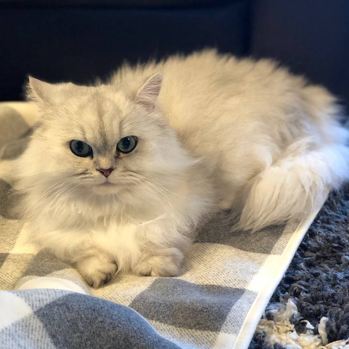 159476b1 f533 466a 9fc5 8c178cb7b0b1 1607147117003