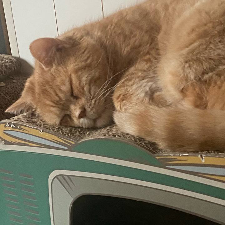 1594c1a1 f52a 4557 b3cb 43deaae75347 1649689033567