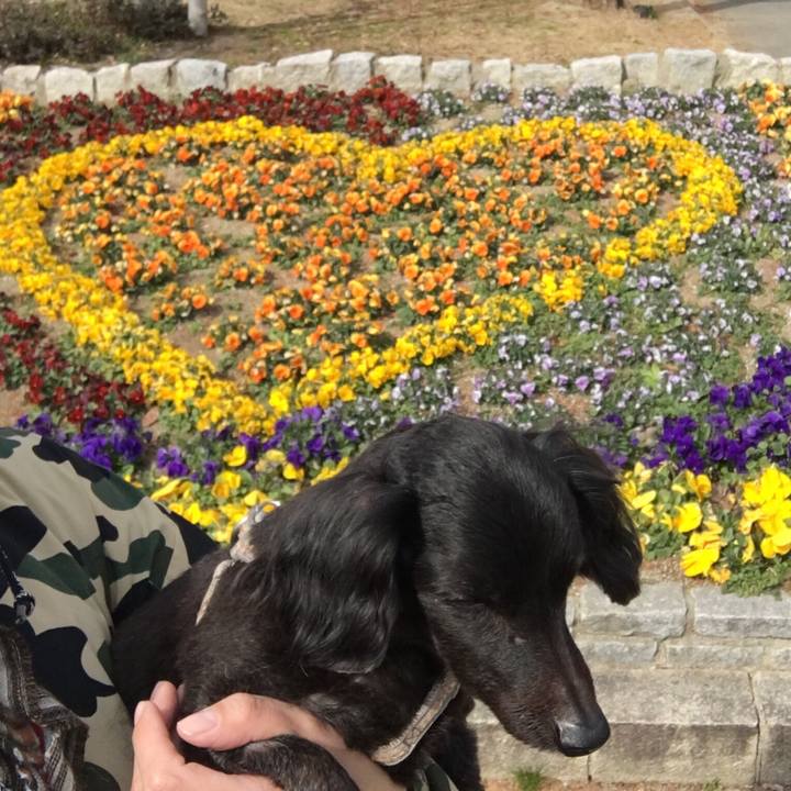 1594cc3e 3042 493c a7ae 026cbc441060 1550460202924