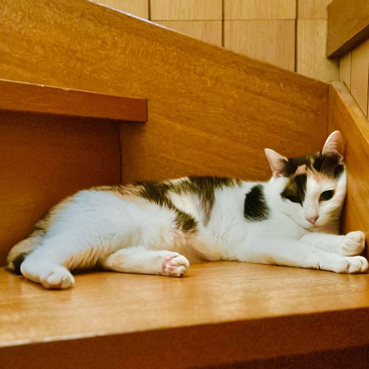 1594eb05 5947 4fe4 9286 b6a4bff04576 1692320958095