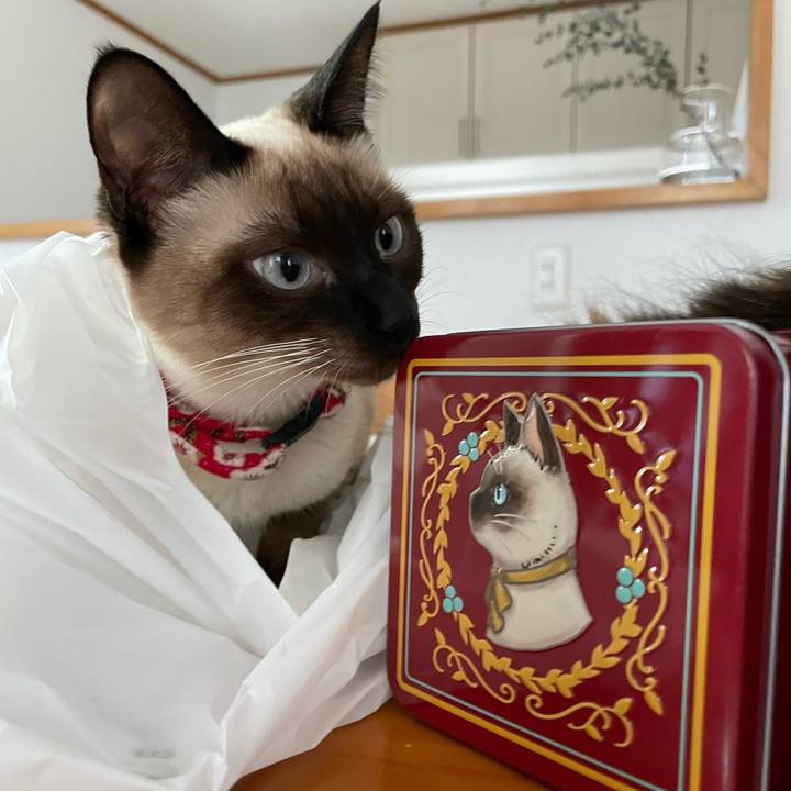 1594f5a5 8bfd 49ed 86ac 04ecb90113f8 1706338286485