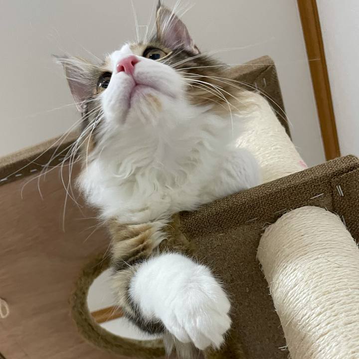 15951b41 04b6 42e9 b192 7a03f5236aa5 1635627286935