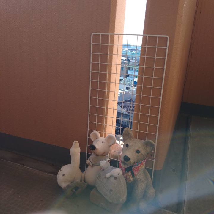 15951cfe 7041 469e 99f3 a50b27d54252 1612314654410