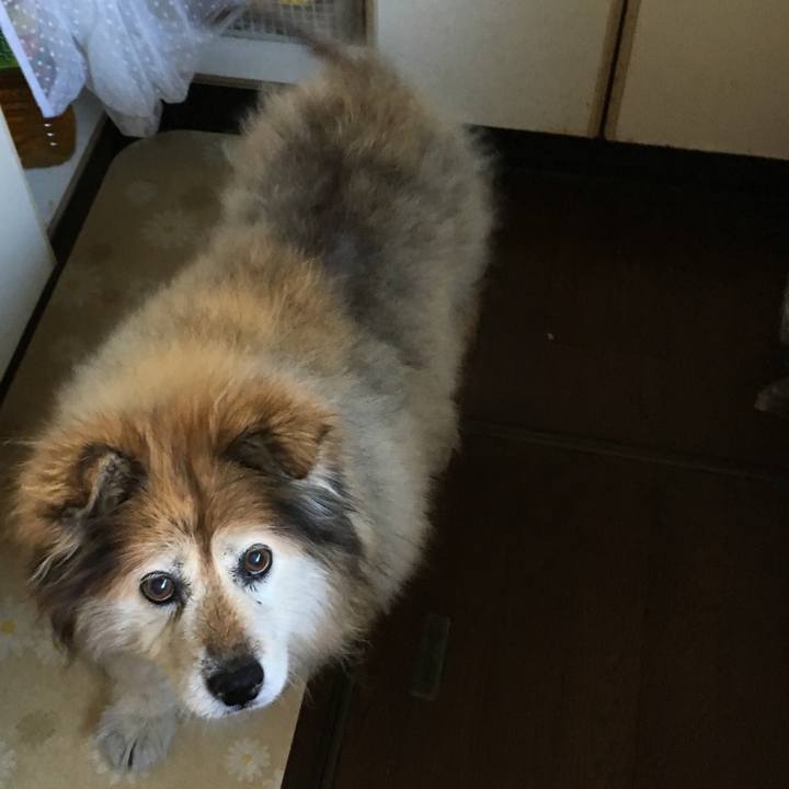 159536c2 d97d 49bf 8b78 f2bfafdea4f9 1570057448142