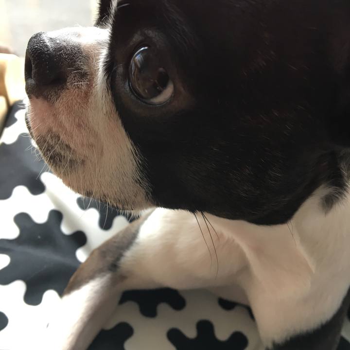 159556c2 69f9 466c 96b1 213a76b70c99 1517709317191