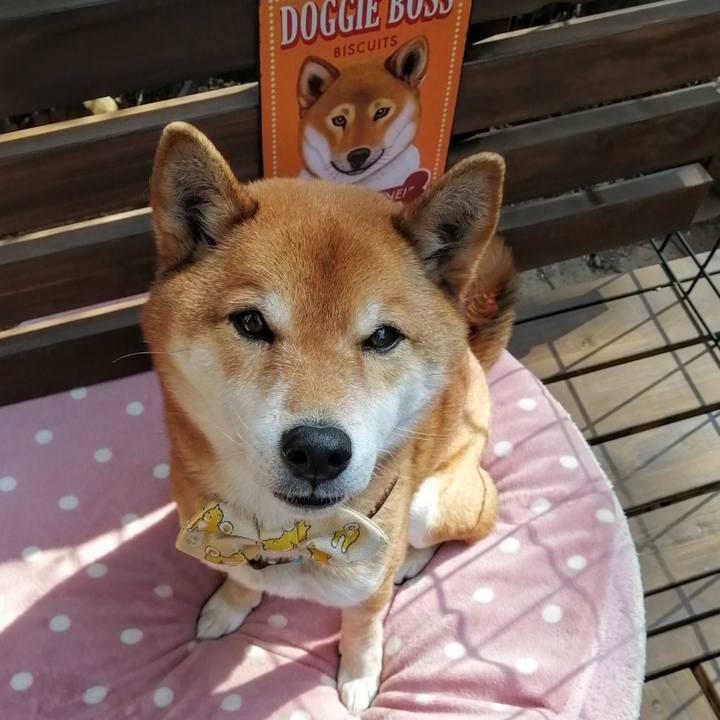 1595aa9f 8e1a 4671 b6d4 ae6bd10a1cc5 1613269888820