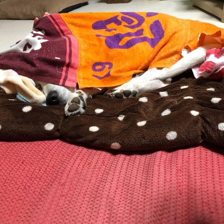 15960e20 ad4b 44ec b8c6 4132ac8ff005 1573867448089