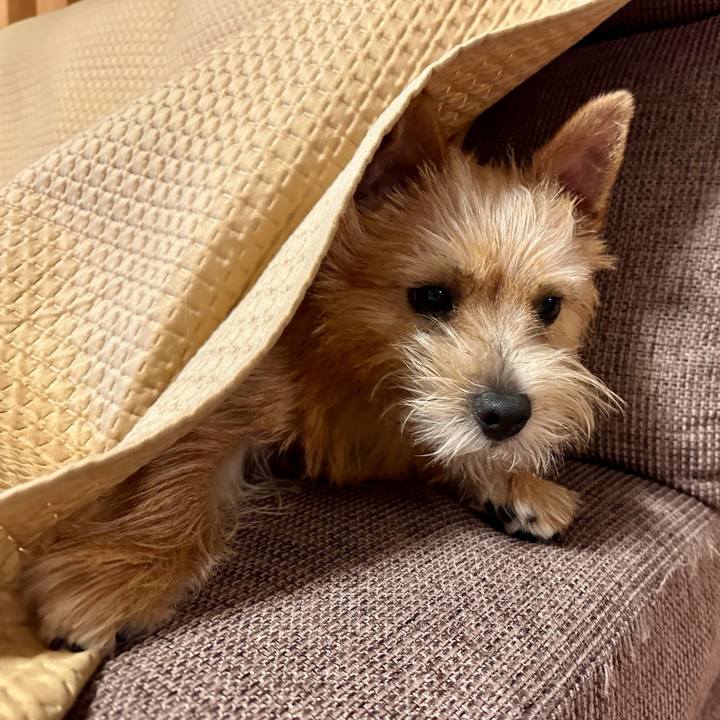 159626e8 6134 45cf 9162 ec145679ddb6 1729820819152